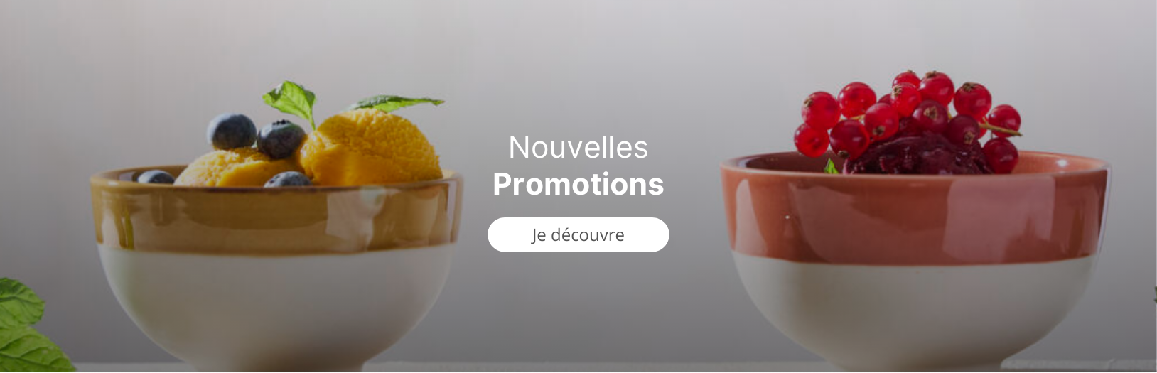 Nouvelles promos